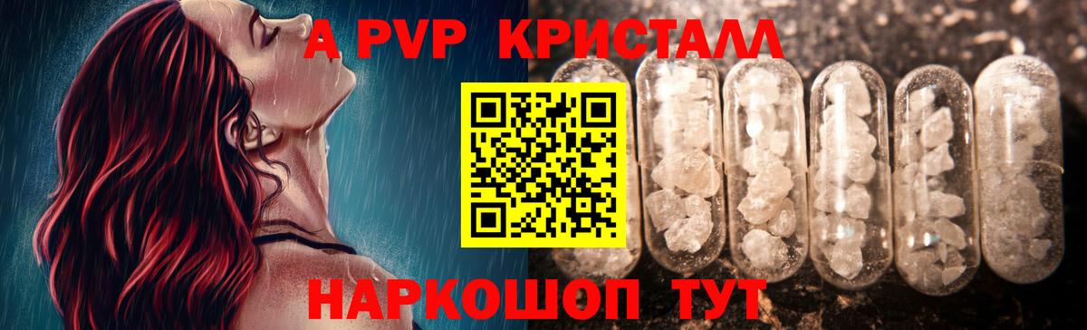 Альфа ПВП СК Малгобек