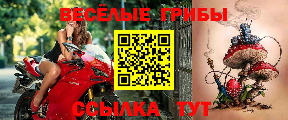 Псилоцибиновые грибы ЛСД  Вход с VPN  Малгобек 