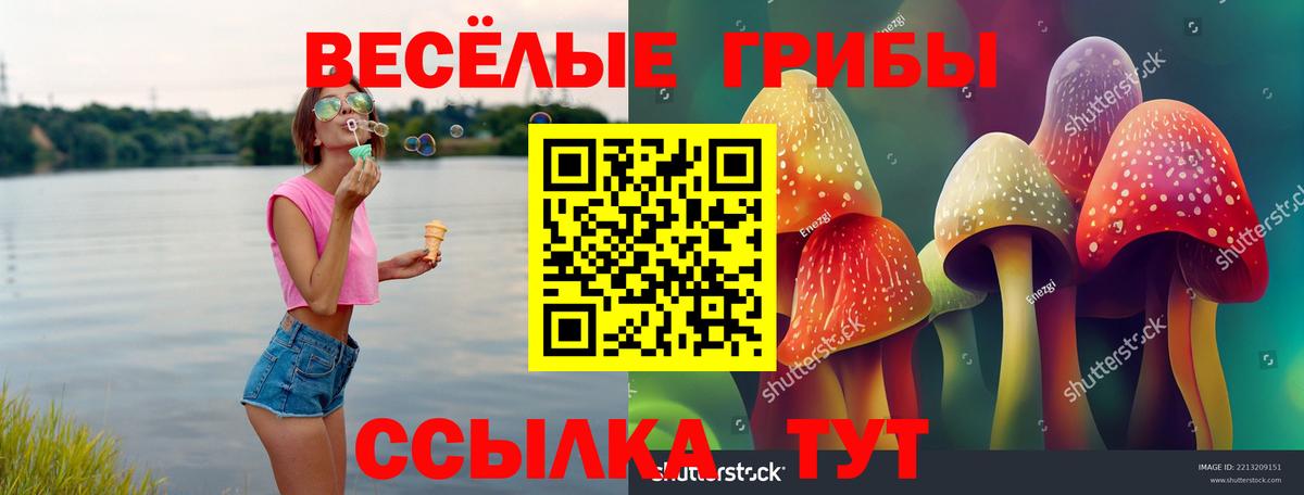 Псилоцибиновые грибы MAGIC MUSHROOMS Малгобек
